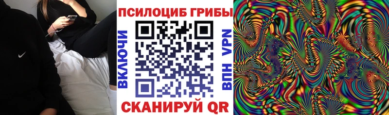 Купить где  Сосновый Бор  Псилоцибиновые грибы GOLDEN TEACHER 
